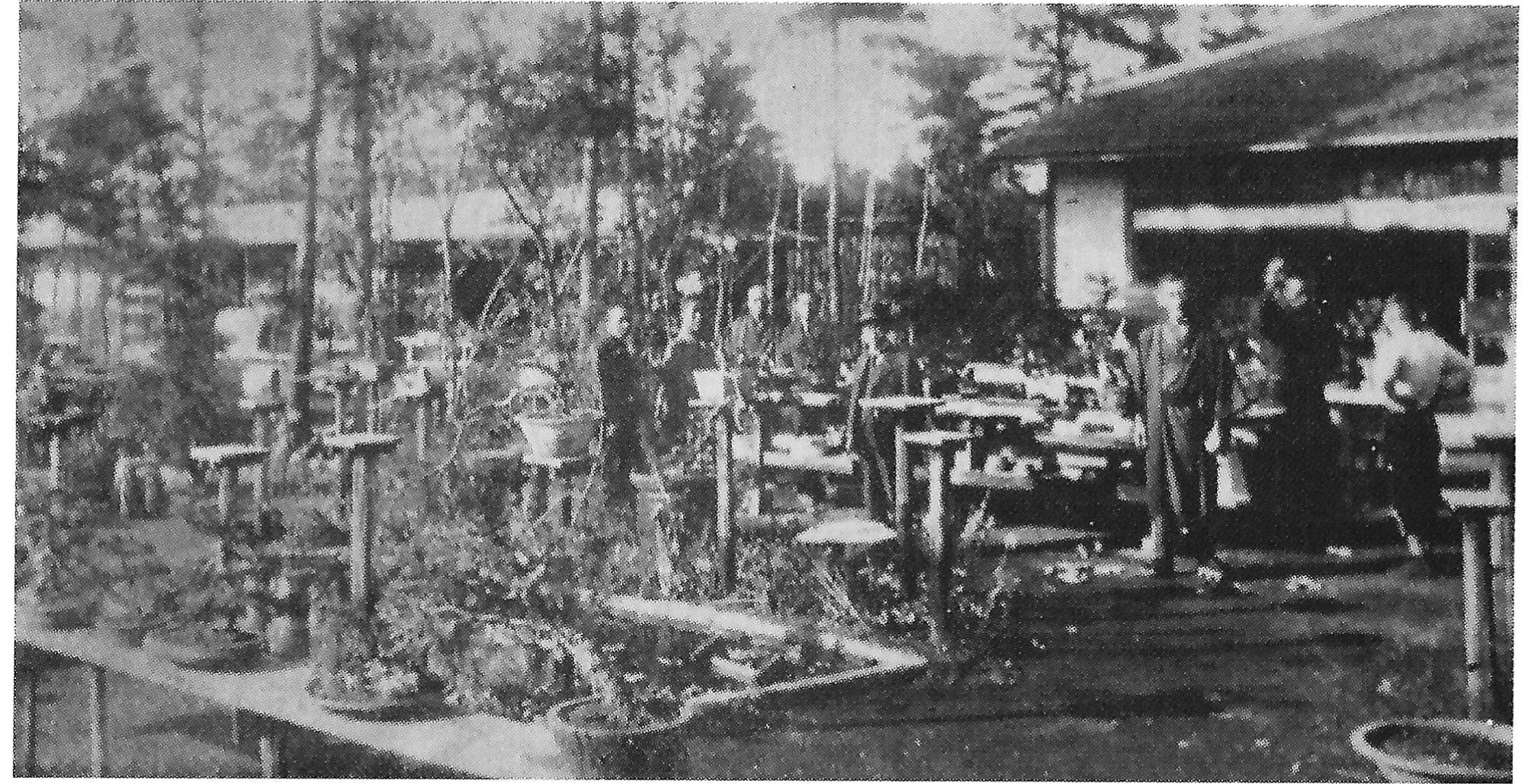 Seidai-en, 1926, Omiya Bonsai Art Museum, pg. 12